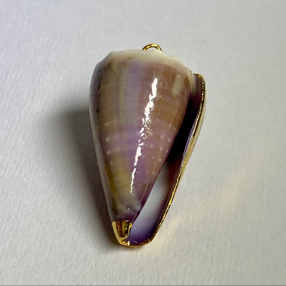 ⭐️ Gold Plated Shell ⭐️ - Picture 6 of 8